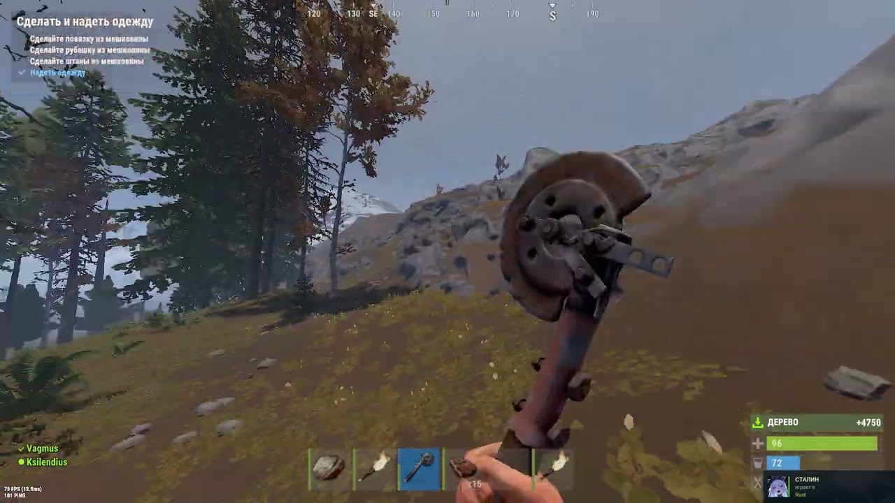 Rust. 2026 01 29 14 18 04 913