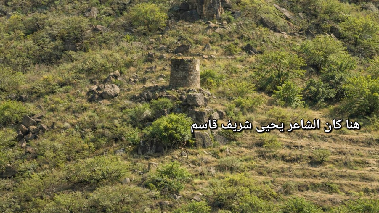 قصة وقصيدة مضى عليها ٢٠٠ عام تروى عن الشاعر يحيى شريف بن قاسم الحكمي الفيفي .@.
