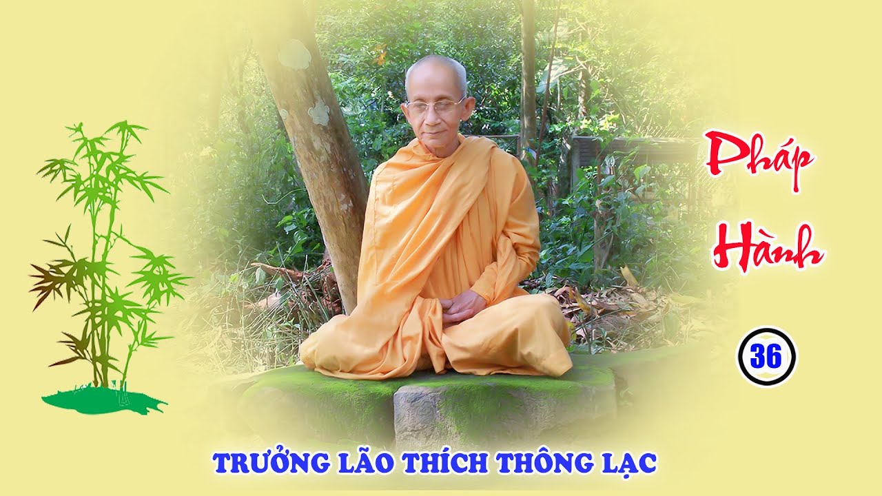 Pháp Hành 36 - 40: Hiểu Đúng Về 12 Nhân Duyên - Đoạn dứt duyên Sanh để vào Đạo