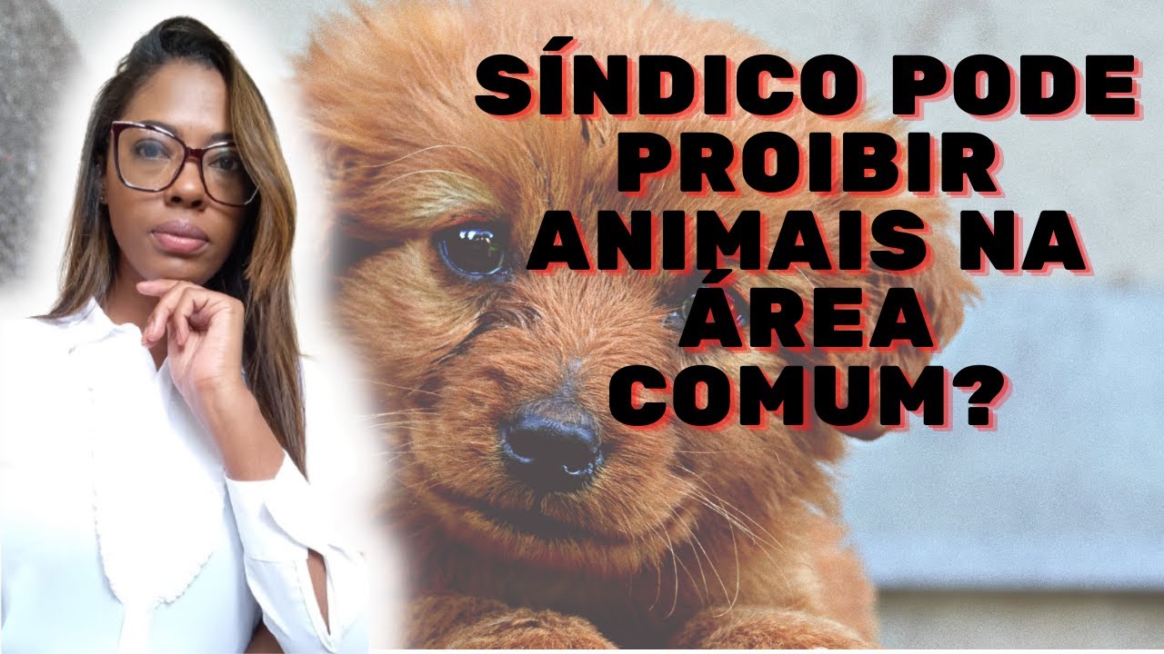 S&iacute;ndico pode proibir animais na &aacute;rea comum?#petscondominio