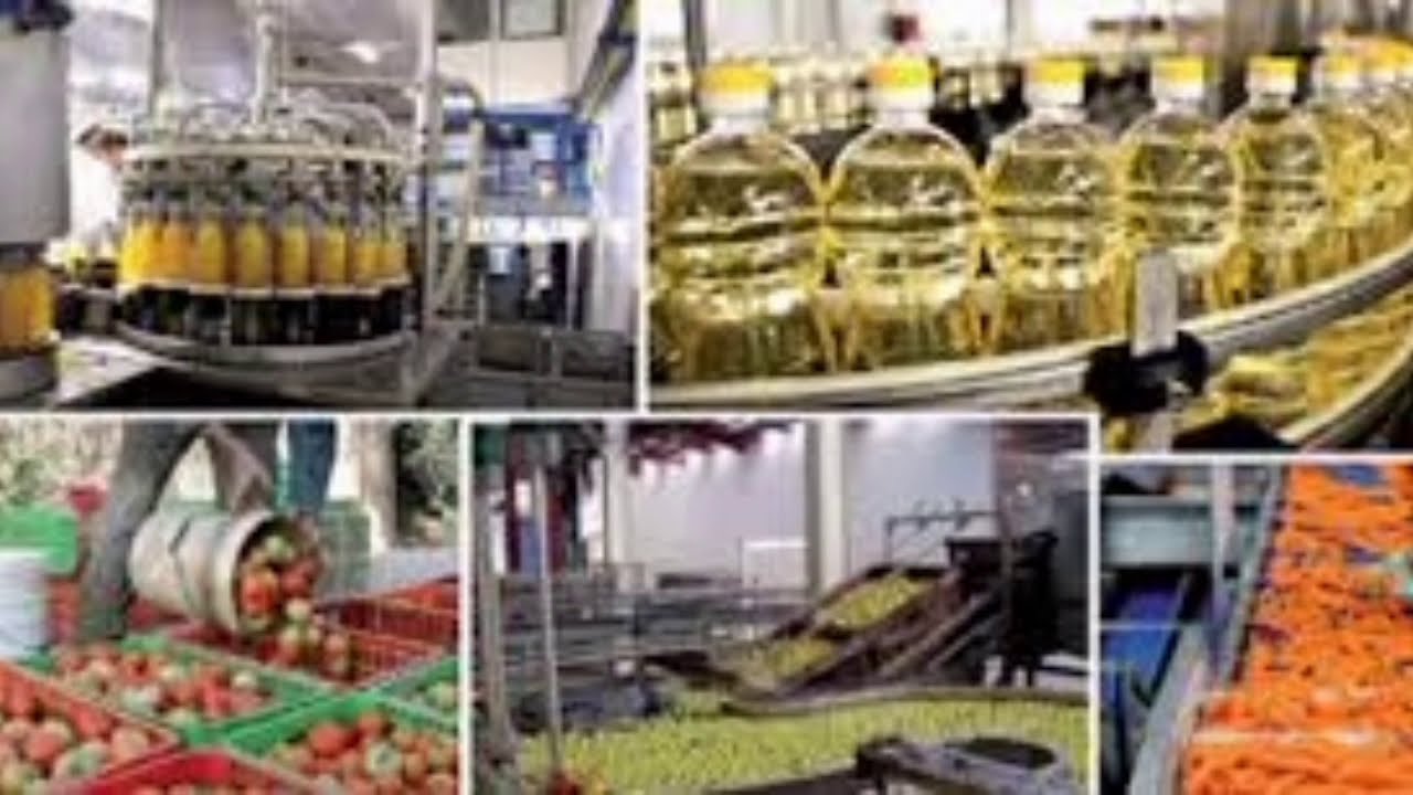 شعبة الصناعة الغدائية و افاقهاالدراسية- Agro-Alimentaire