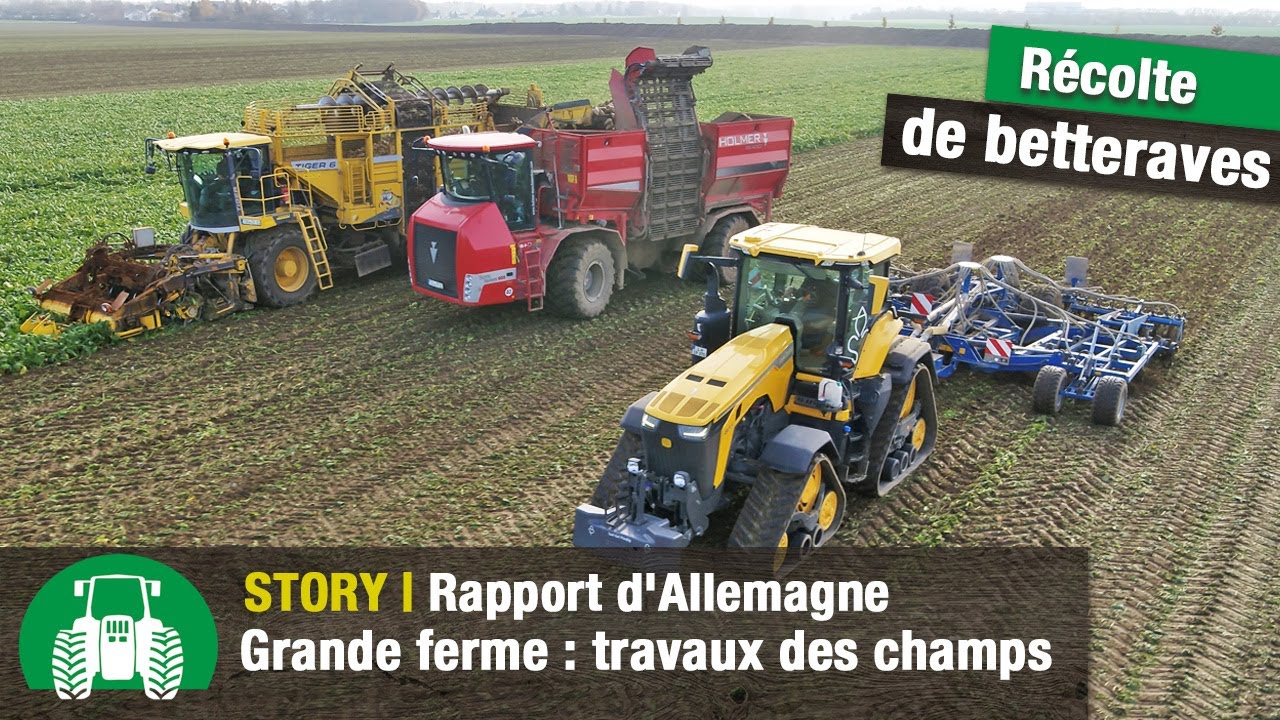 L’exploitation agricole Saat-Gut Plaußig pt 4 (Récolte des betteraves | Köckerling Vector + Boxer)