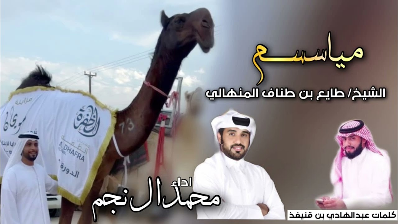 شلة الموسم||🔥مياسم🎖|| الشيخ طايع بن طناف المنهالي || كلمات عبدالهادي بن قنيفذ || اداء محمد ال نجم