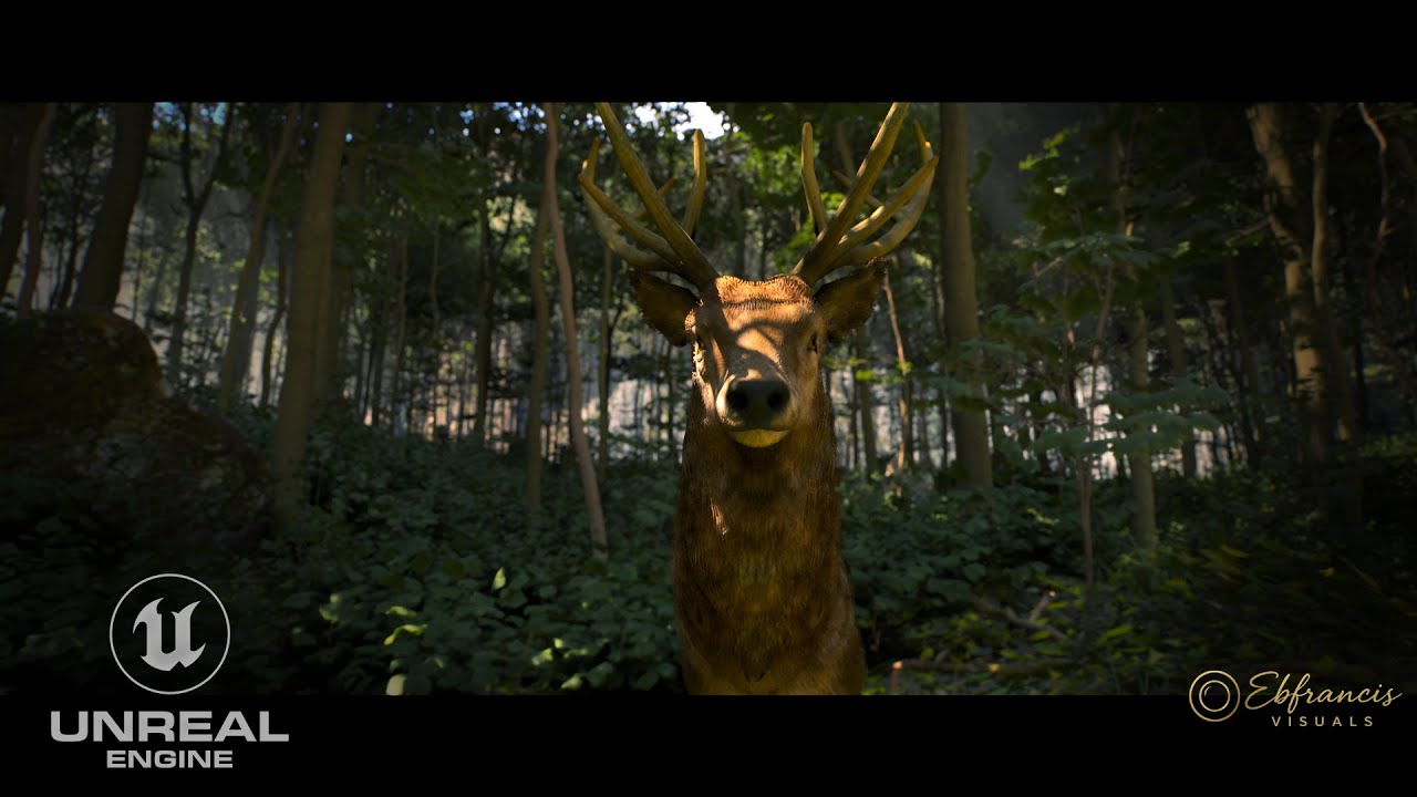 NATURE AT REST &mdash; Unreal Engine 5.5.4 Cinematic #unrealengine  #megascans   #render
