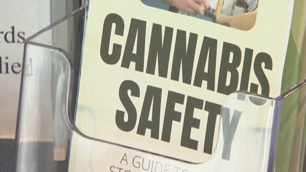 Half of drivers think marijuana doesn't impact driving: AAA survey