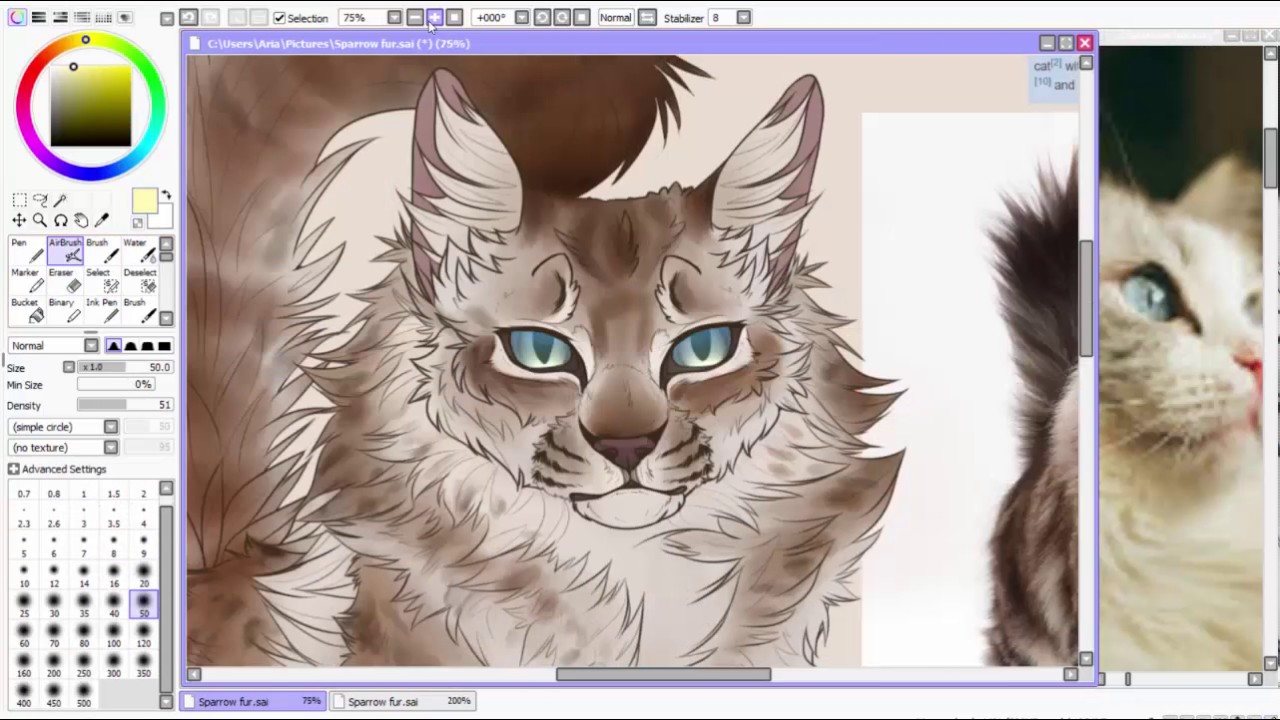 Sparrow fur Speedpaint