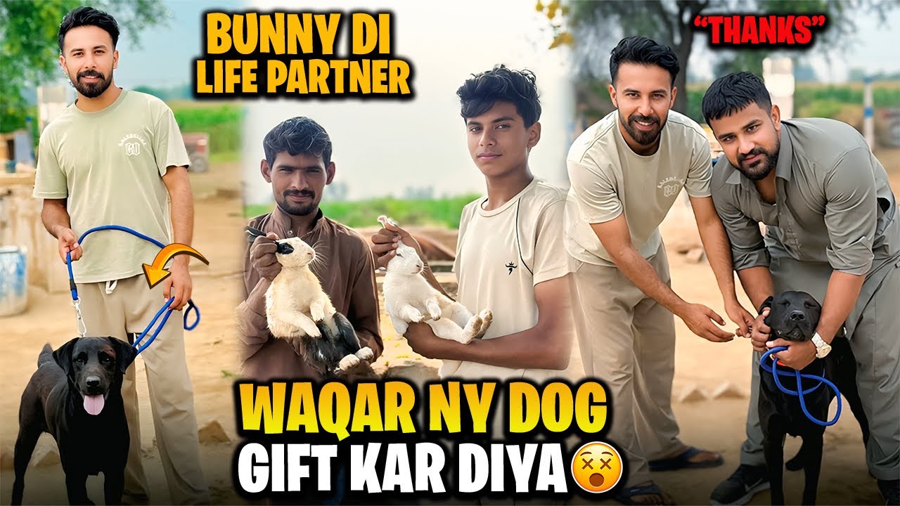 Waqas Bhinder ne Dog Gift Karta😍😍 New Rabit 🐇Bunny di Life Partner Agai😂😂