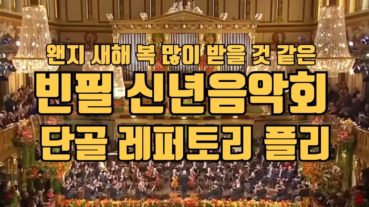 왠지 새해 복 많이 받을 것 같은 빈 신년음악회 단골 레퍼토리 플리