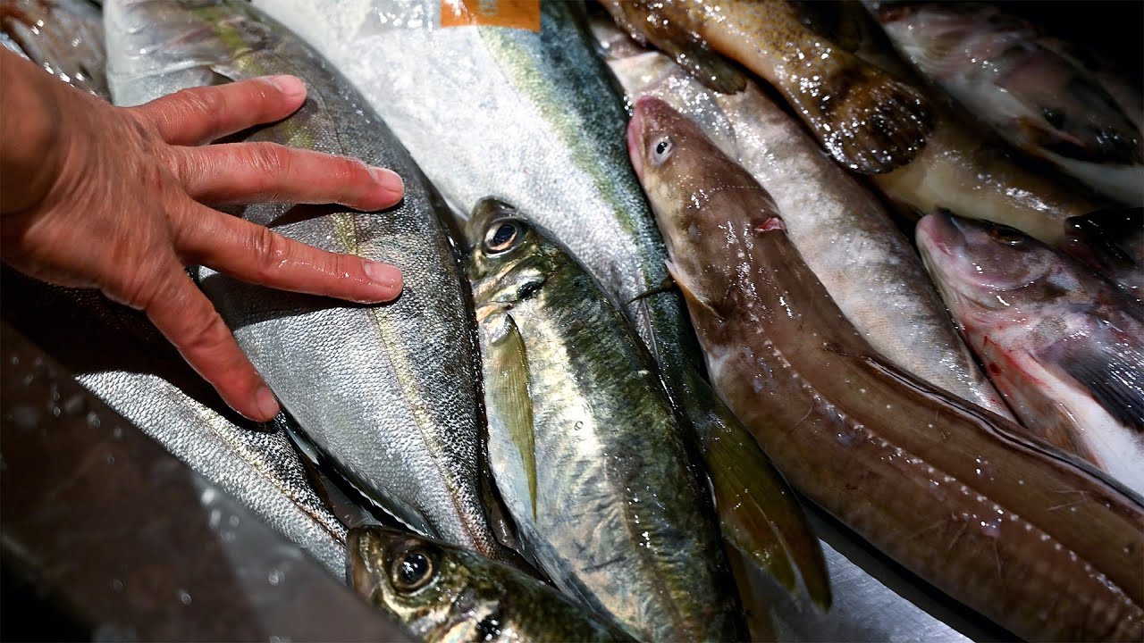 【京都府長岡京市・グルメ】名物は穴子寿司。鮮度抜群の天然素材で「食育」を追求。JR長岡京駅前・創作料理「旬菜魚くらしま」【ええやん長岡京】