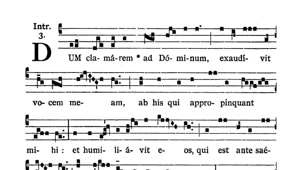Dominica X post Pentecosten - Introitus (Dum clamarem)