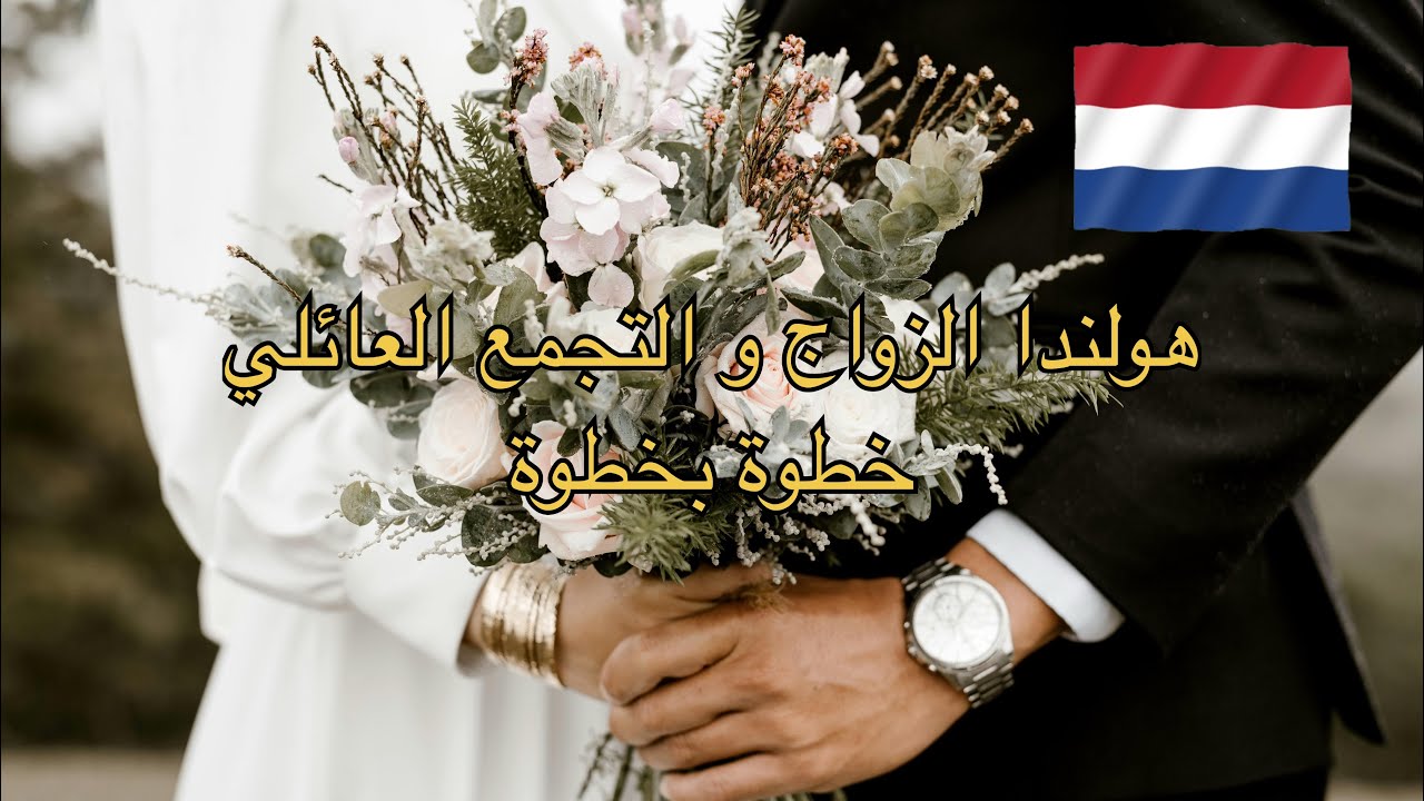 هولندا الزواج و التجمع العائلي بطريقتين كل التفاصيل 2025🇳🇱