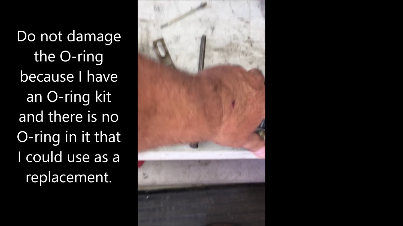 1965, 1966 Thunderbird power window motor and regulator repair