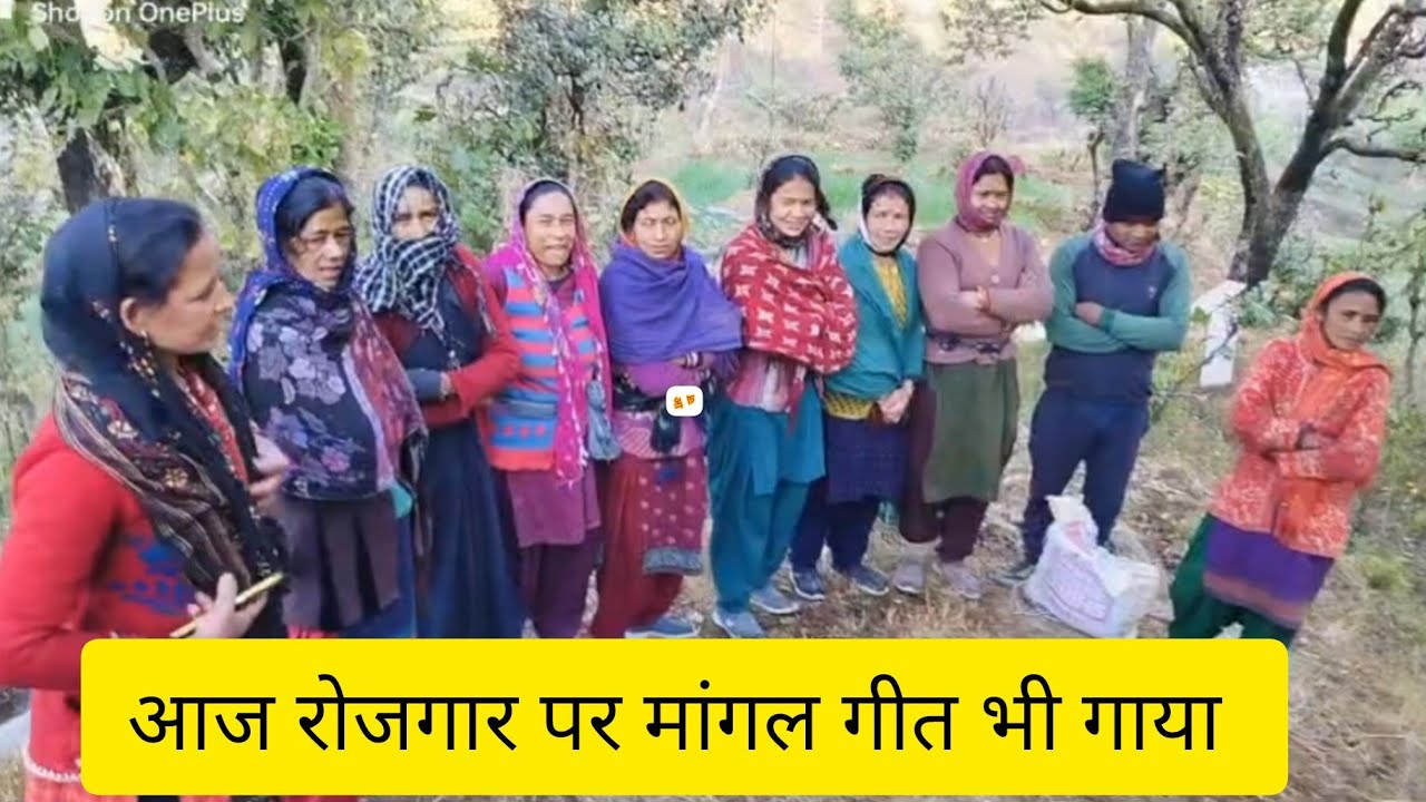 आज रोजगार पर मांगल गीत ||पहाड़ी लाइफ ||