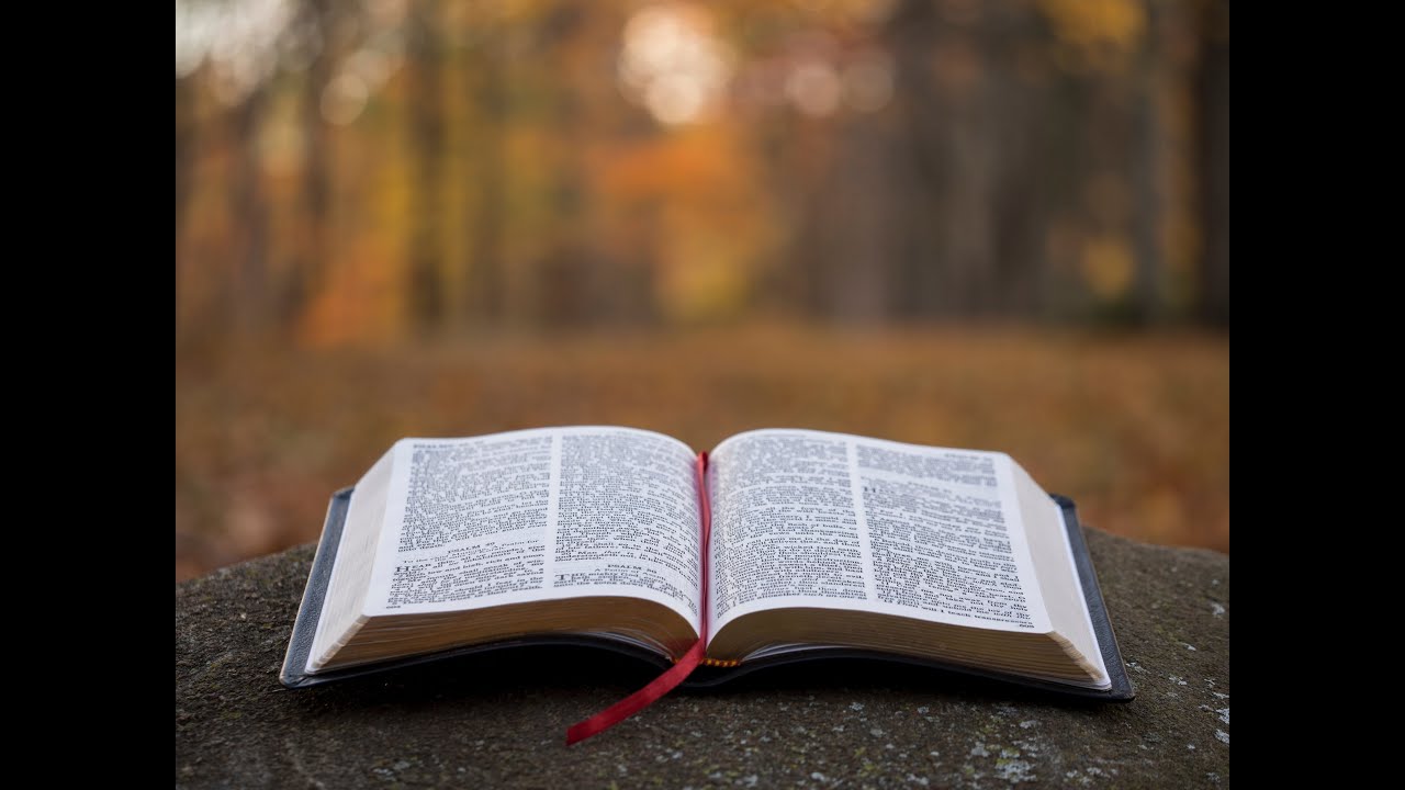 Pastor Yousef Nadarkhani