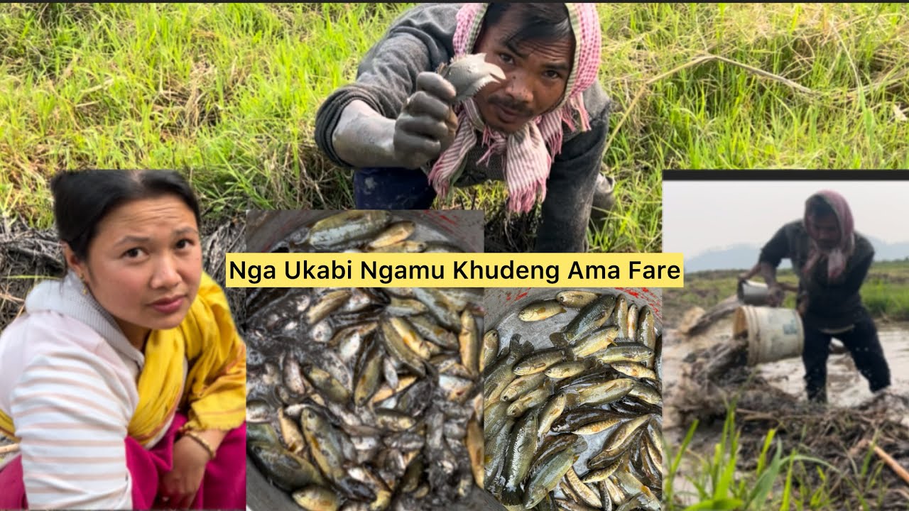 Nga Khudeng AMA Ukabi Ngamu Khong Chotldi Chin Chotle