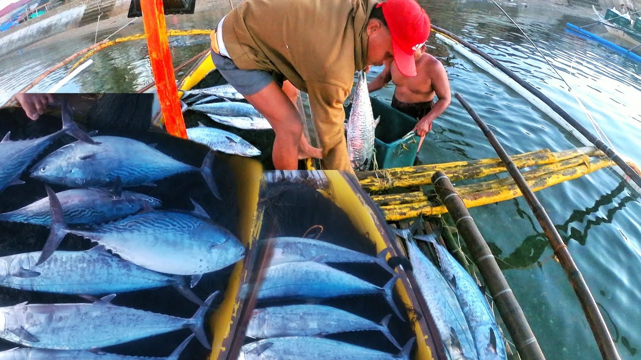 Pinakamaraming huli namin (Repost) 