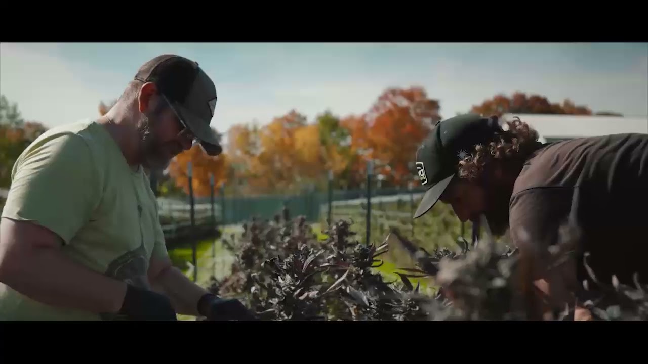 Expanding Horizons - Nova Farms (15s)