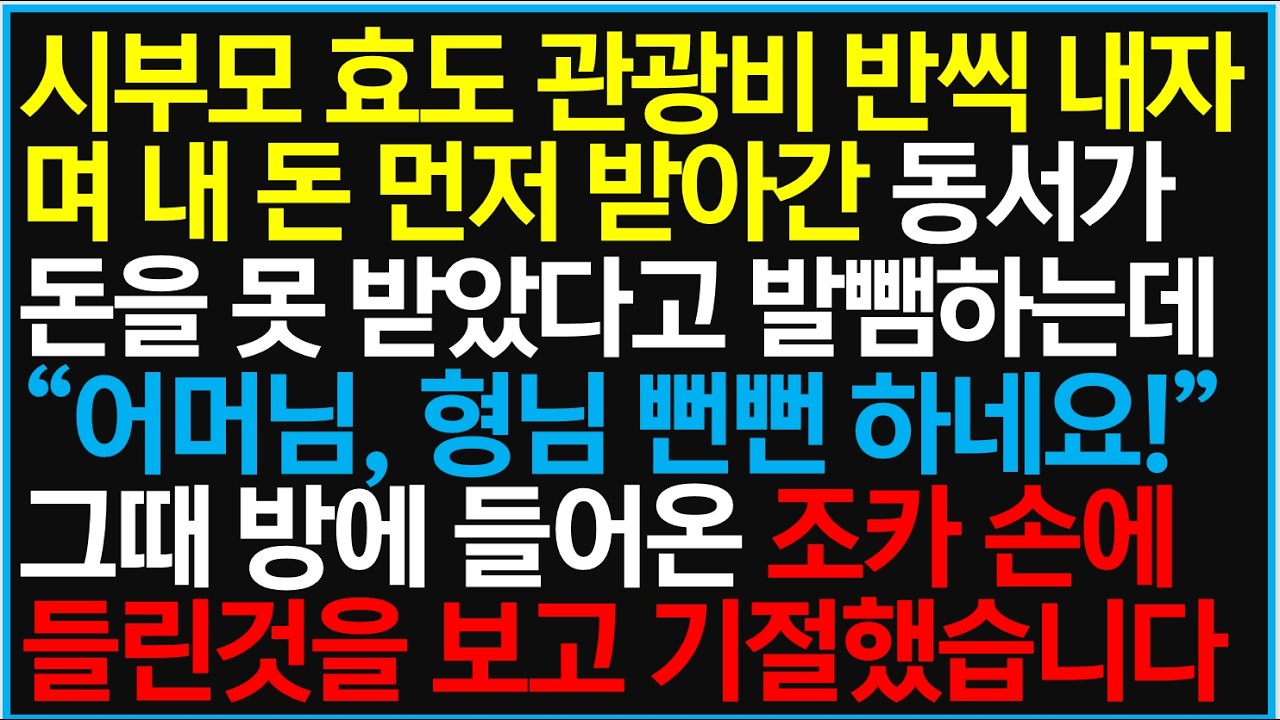 시부모 효도 관광비 반씩 내자며 내 돈 먼저 받아간 동서가 돈을 못 받았다고 발뺌하는데 
