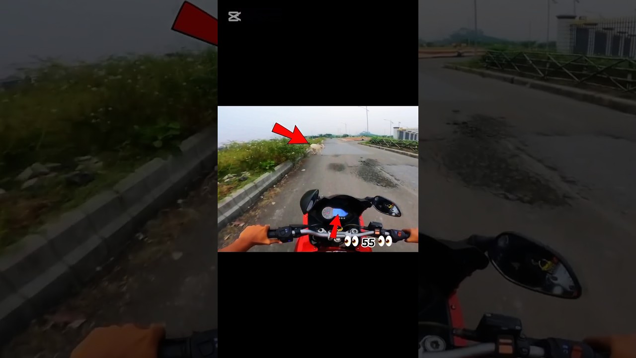 A cow attack on my bike😭 #shorts #bike #rider #attack #cow #crash #deadbydaylight #riderlife #roadie