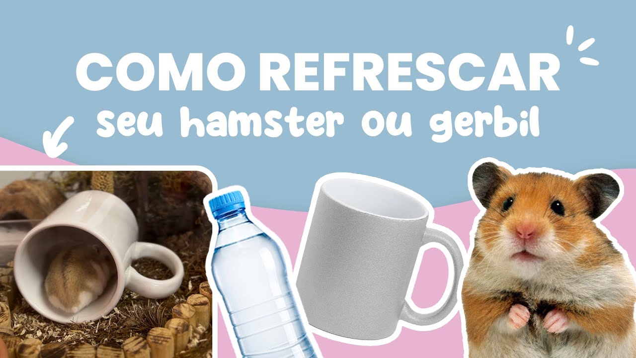 Como refrescar seu hamster ou gerbil