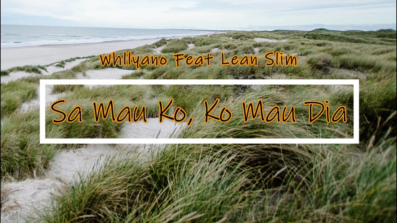 Tojana - Sa Mau Koi - Whllyano Feat Lean Slim (Video Lirik)