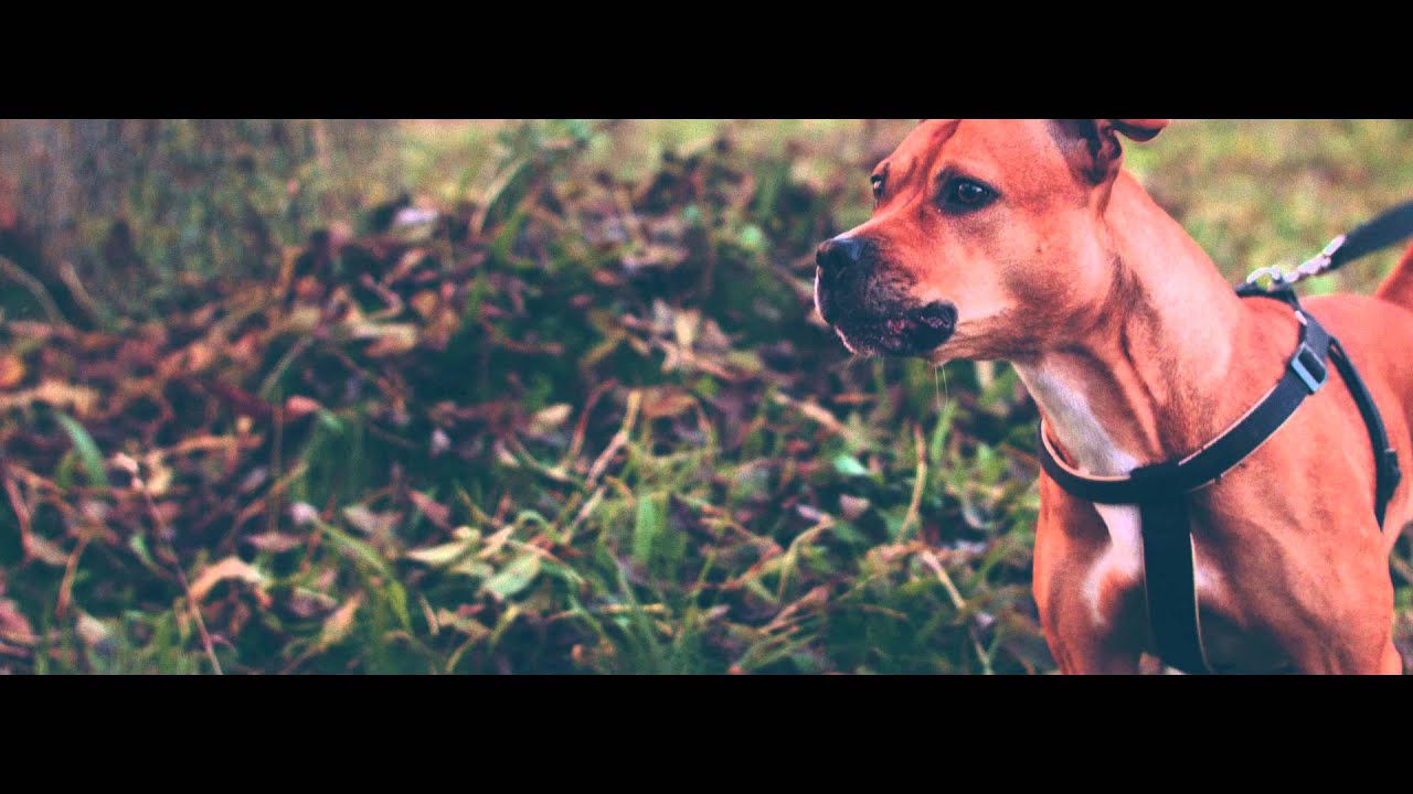 aCtive - Overzicht (Video) #FakkaMetDieTapeVol1