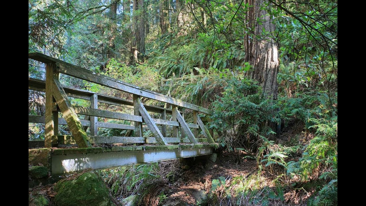 Steep Ravine Trail Hike with my Wife