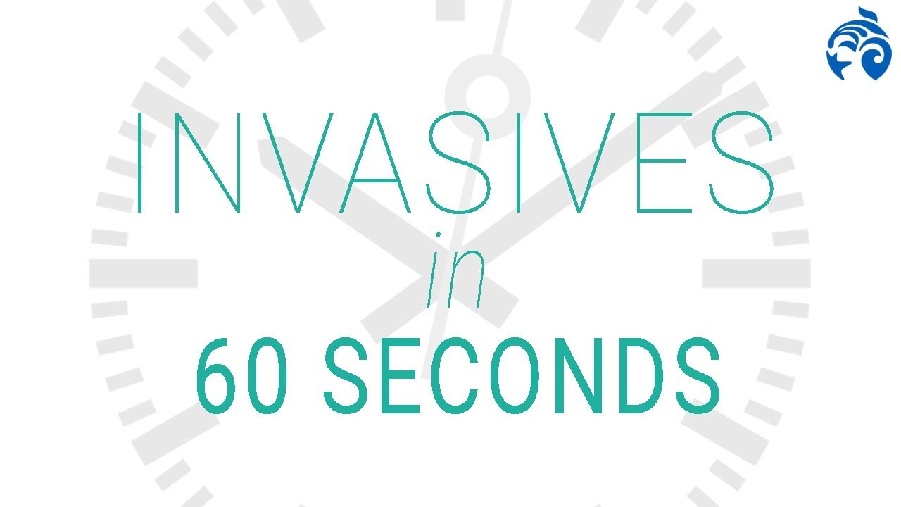 What is is an Invasive Species? | 60 seconds | Ocean Wise
