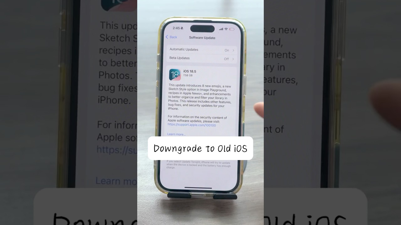 ✅How to Downgrade to Old / Unsigned iOS Version? Tips Here!#fyp #ios19