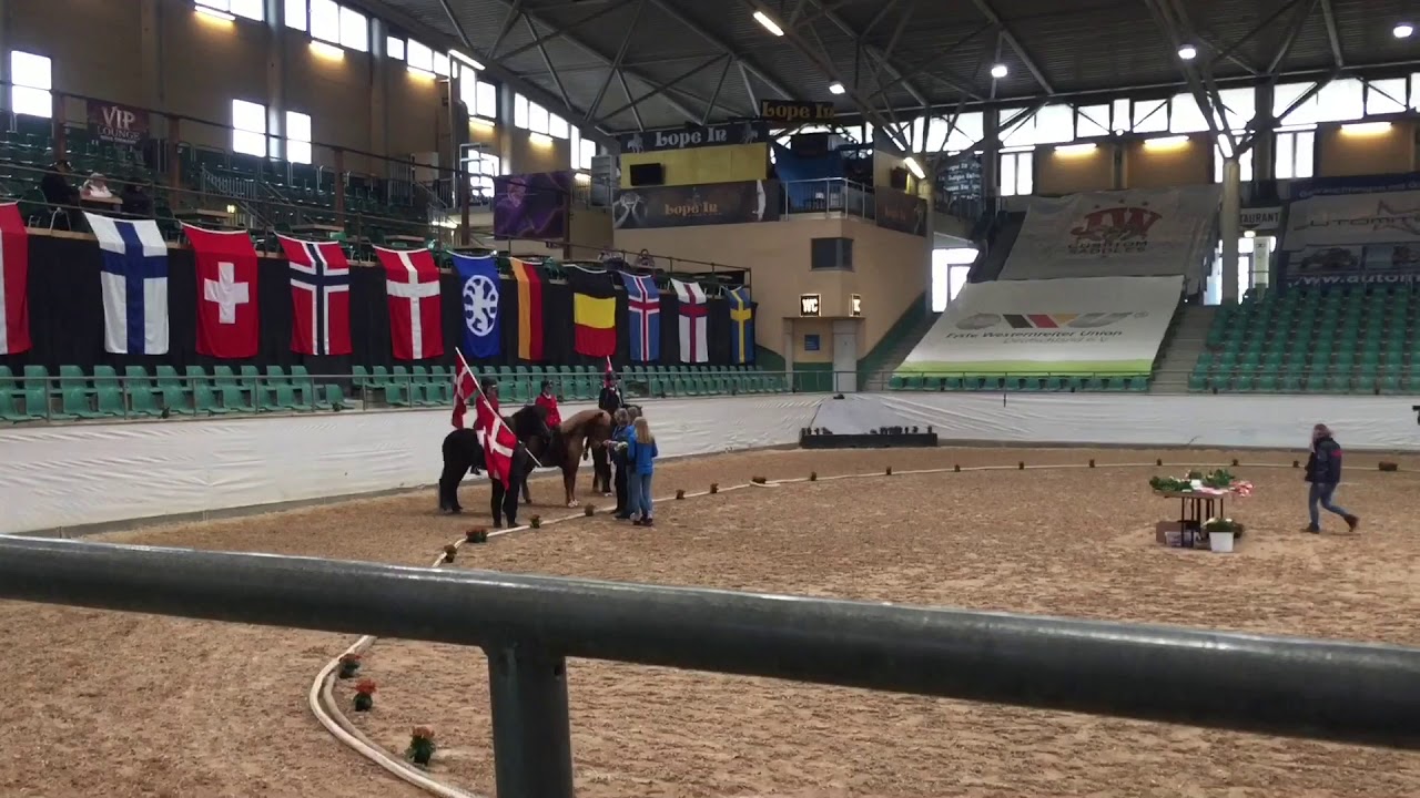 World T&oslash;lt 2018 in Rieden - Hringja the Icehorse