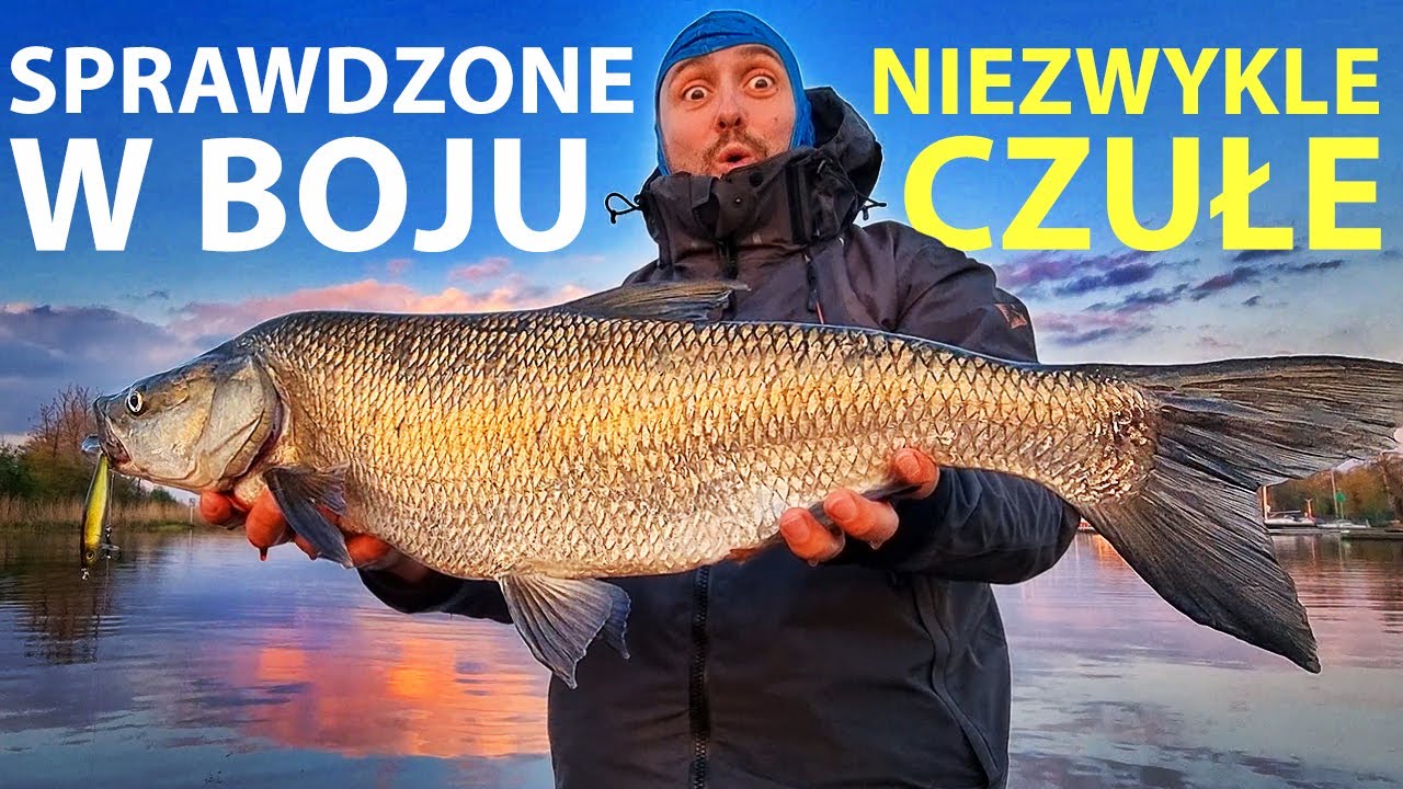 Uniwersalne wędki na szczupaki, sandacze i bolenie