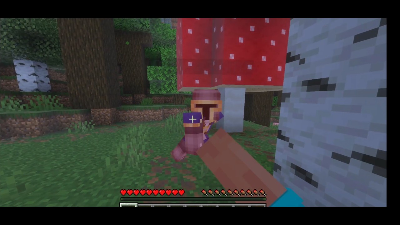 Minecraft Manhunt Slowrunner vs 2 Hunters @ramiskhan2122 and @Goodrixzet