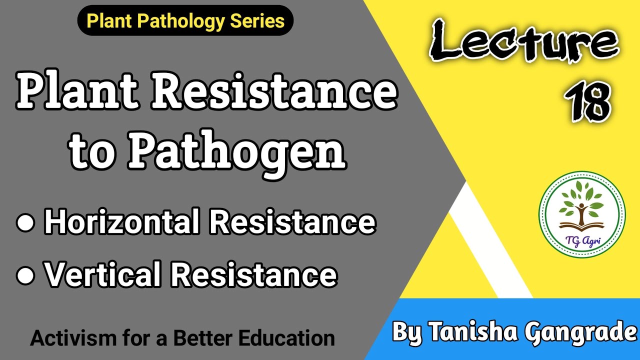 Plant Resistance | Horizontal Resistance | Vertical Resistance | Apparent Resistance by Tanisha