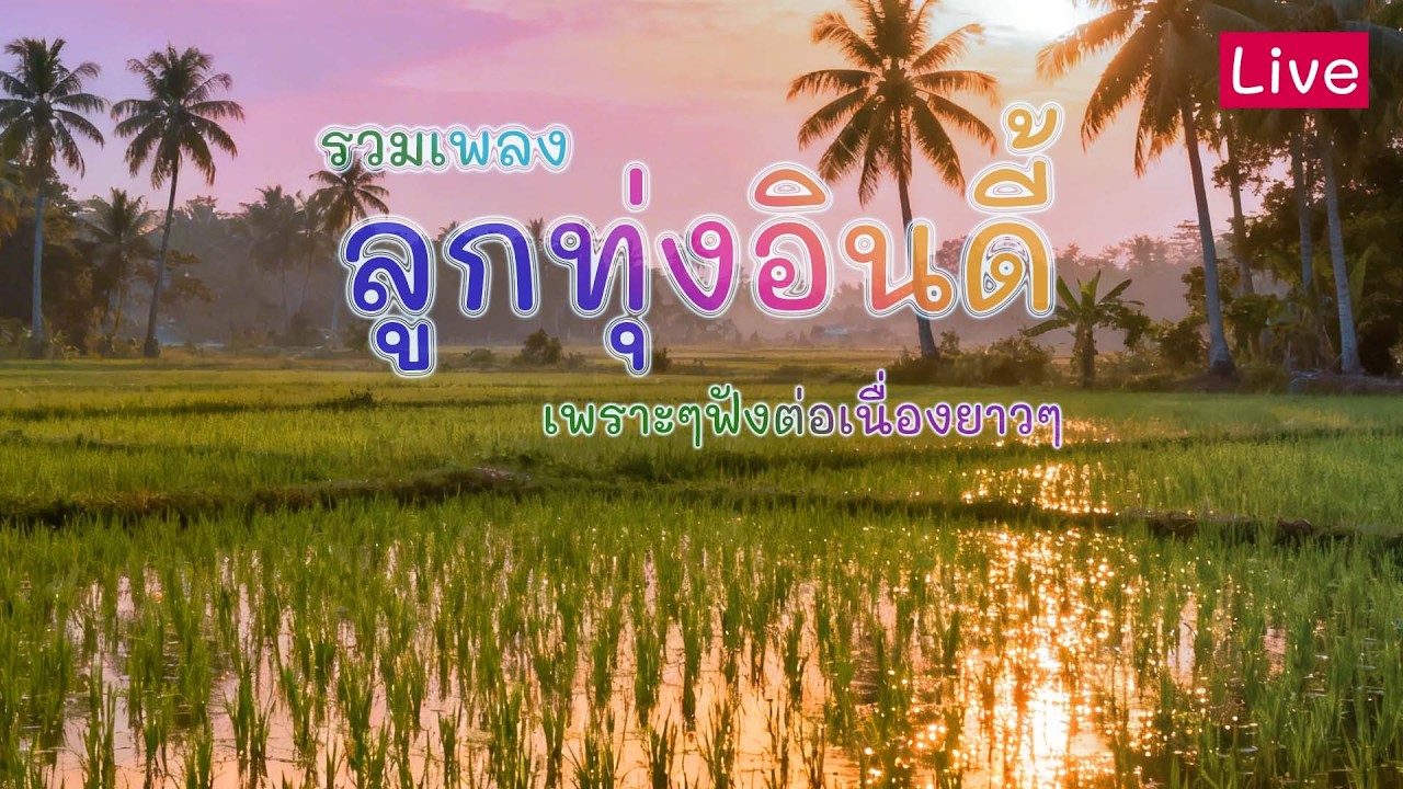 รวมเพลงลูกทุ่งเพราะๆ ฟังยาวๆ ฟังตอนทำงาน ฟังก่อนนอน