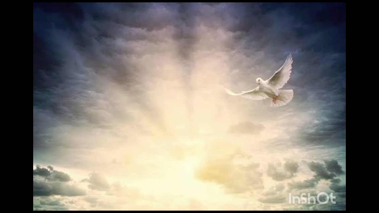 Los Cinco Minutos del Espíritu Santo 🕊  6 de febrero ✍️ por Monseñor Víctor Manuel Fernández 🌱 