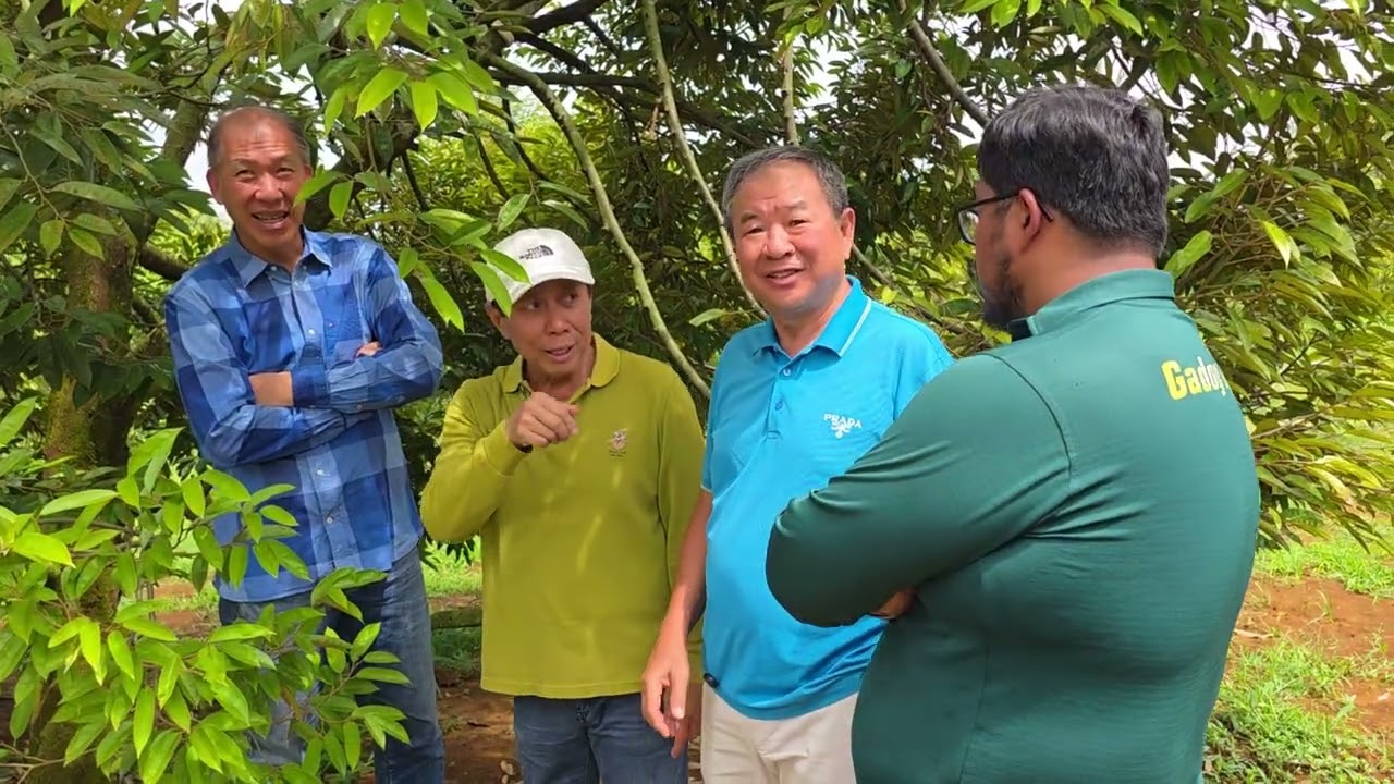 Diskusi durian di kebun vigano rancamaya