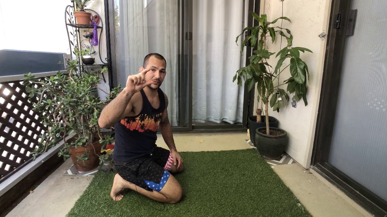 Low Bear Plank For Core Strength