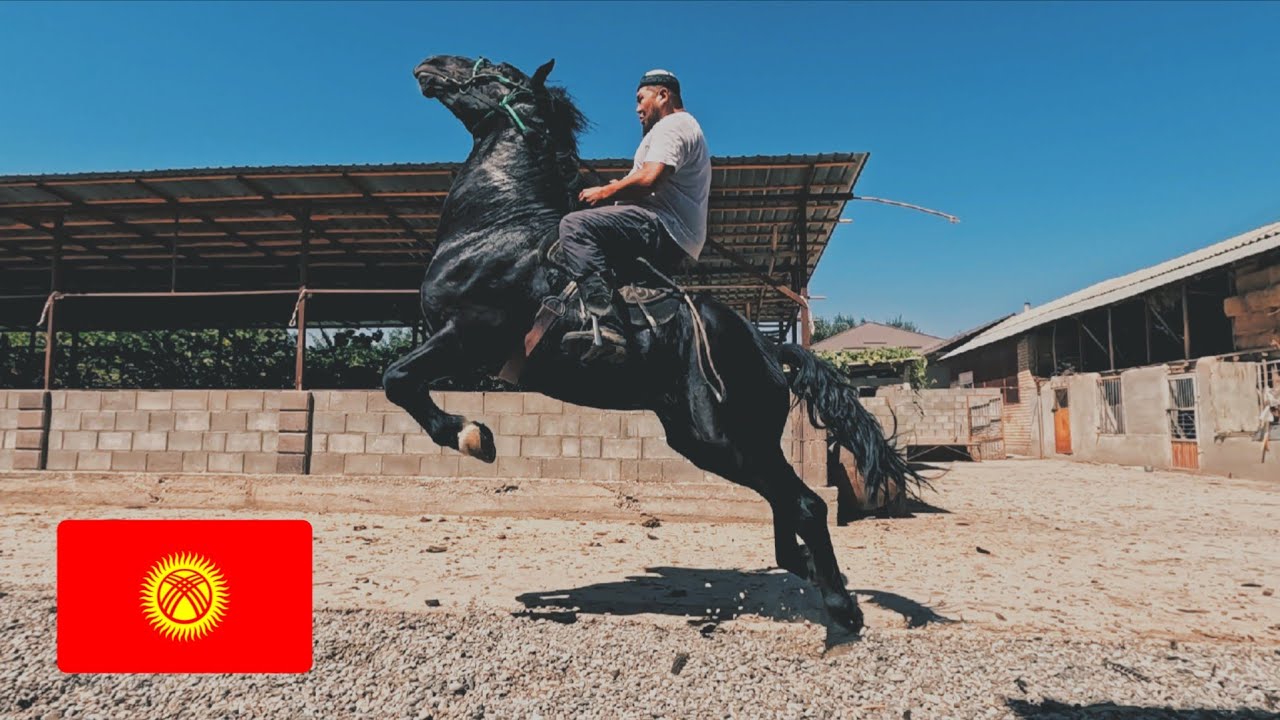 Кыргызстанга от олишга бордик! Кыргызстан саргузаштлари! 2-қисм