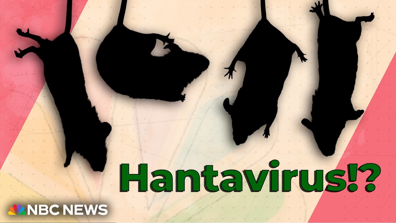 What&rsquo;s Going On With Hantavirus?