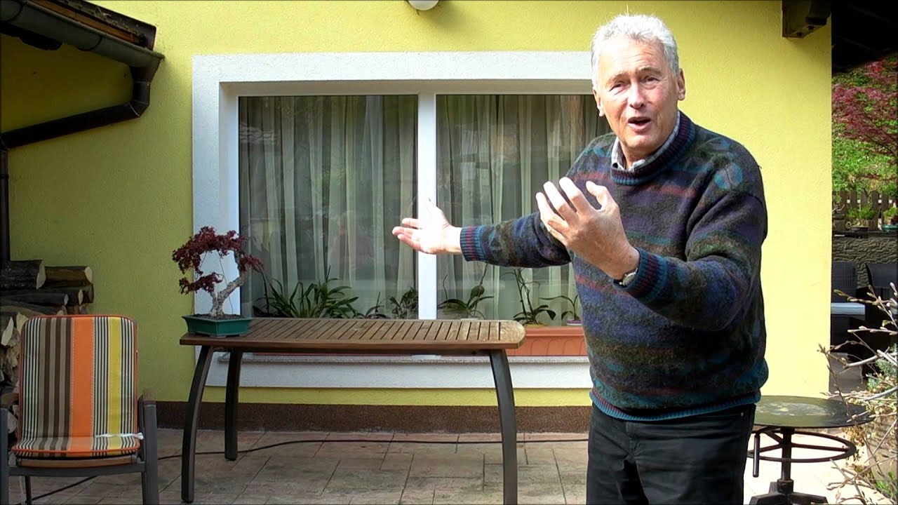 INTERNATIONAL BONSAI ACADEMY with Walter Pall by SandevBonsai - Plato's Cave Analogy