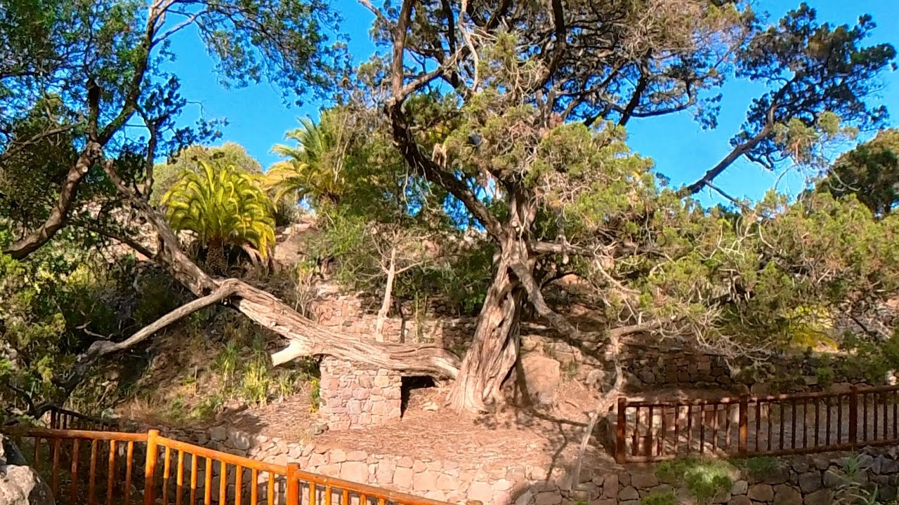 El risco  - La aldea. Por el camino del cartero.                   Gran Canaria andando.