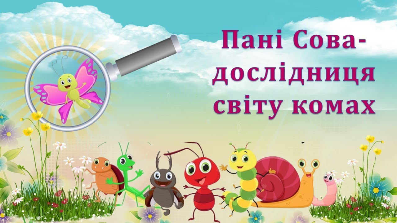 Пані Сова - дослідниця світу комах. Логіко-математичний розвиток старша група ЗДО