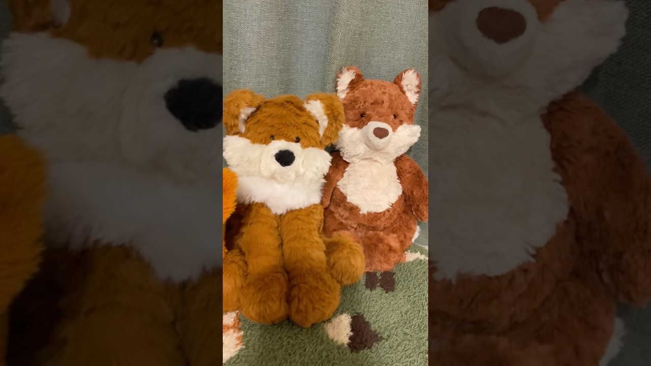 My fox collection 🦊 #plushies #stuffedanimals #plush #collection