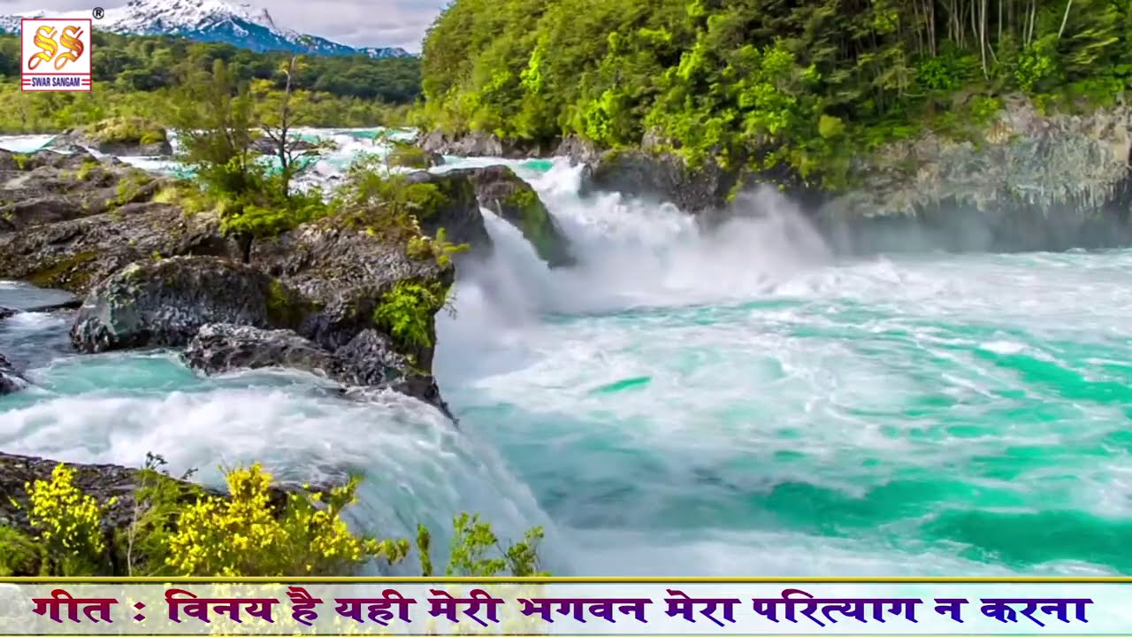 भजन : विनय है यही मेरी भगवन मेरा परित्याग न करना  II आर्य समाज वैदिक भजन II