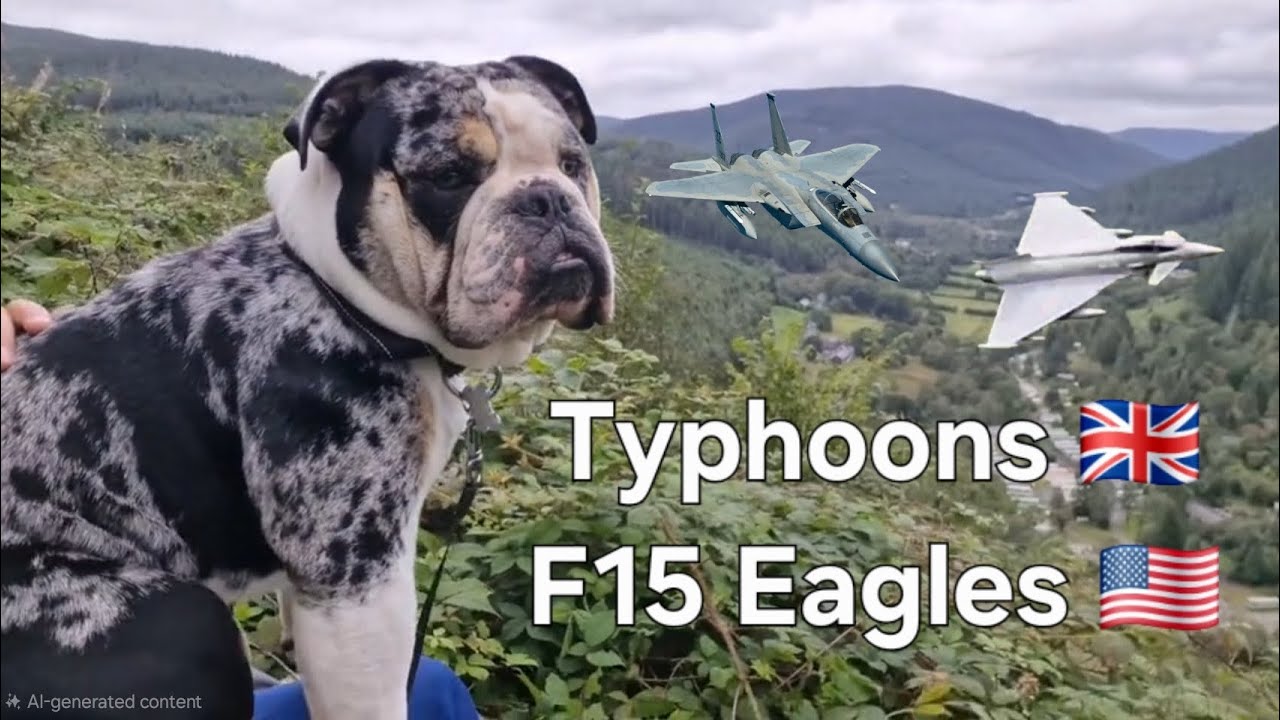 WOW! F15 Eagles & Typhoon Eurofighters in Wales - Mach Loop Magic