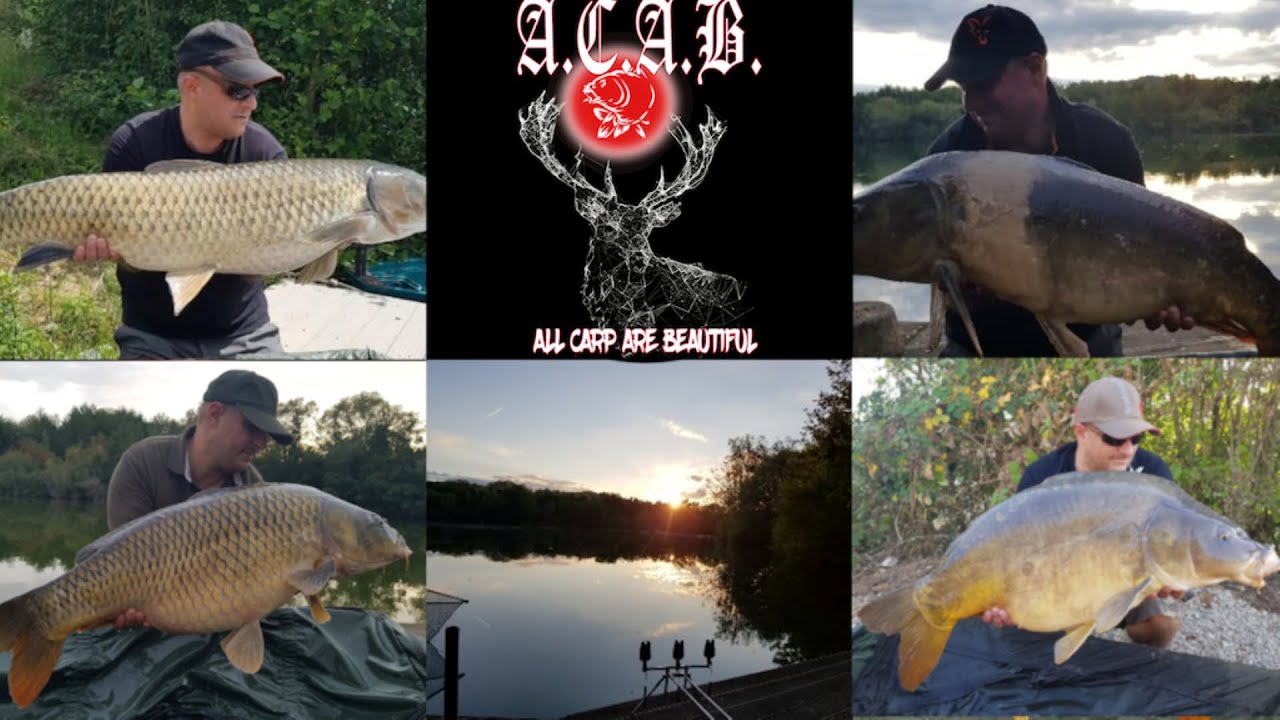 RF4#CARPFISHING#10[SHORT-STREAM][FREI.WILD][GER/ENG][NOCAM]