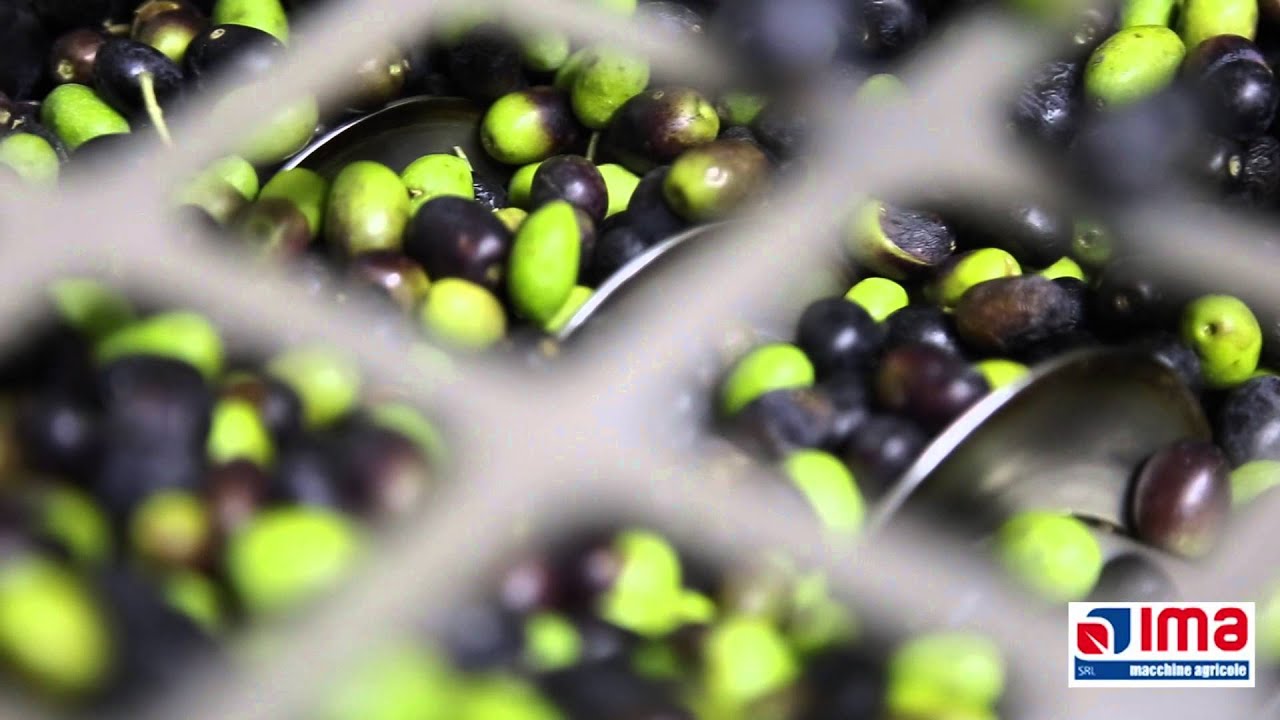 Mini Frantoio - IMBRIANO MACCHINE AGRICOLE - LUDA film