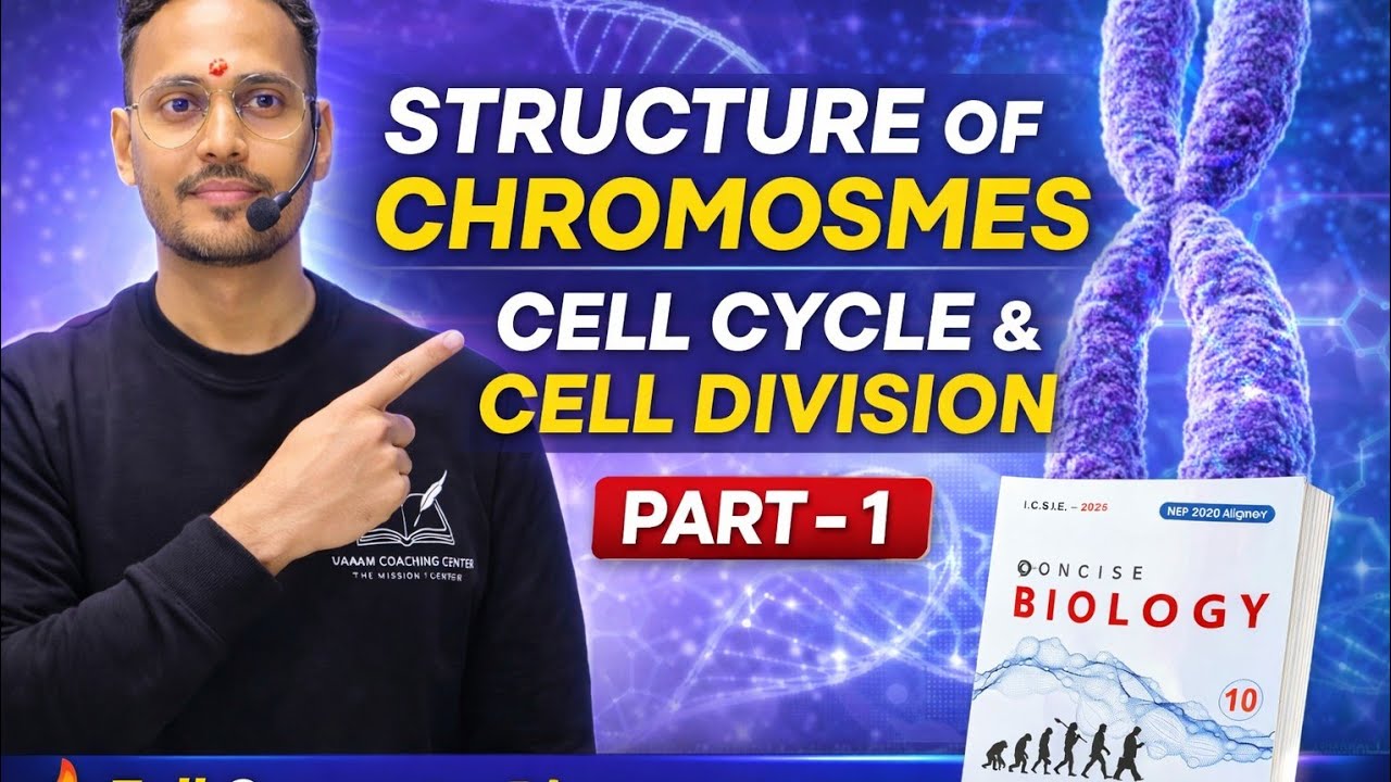 🧬 Chapter 2 – Part 1: Chromosomes, Cell Cycle & Cell Division