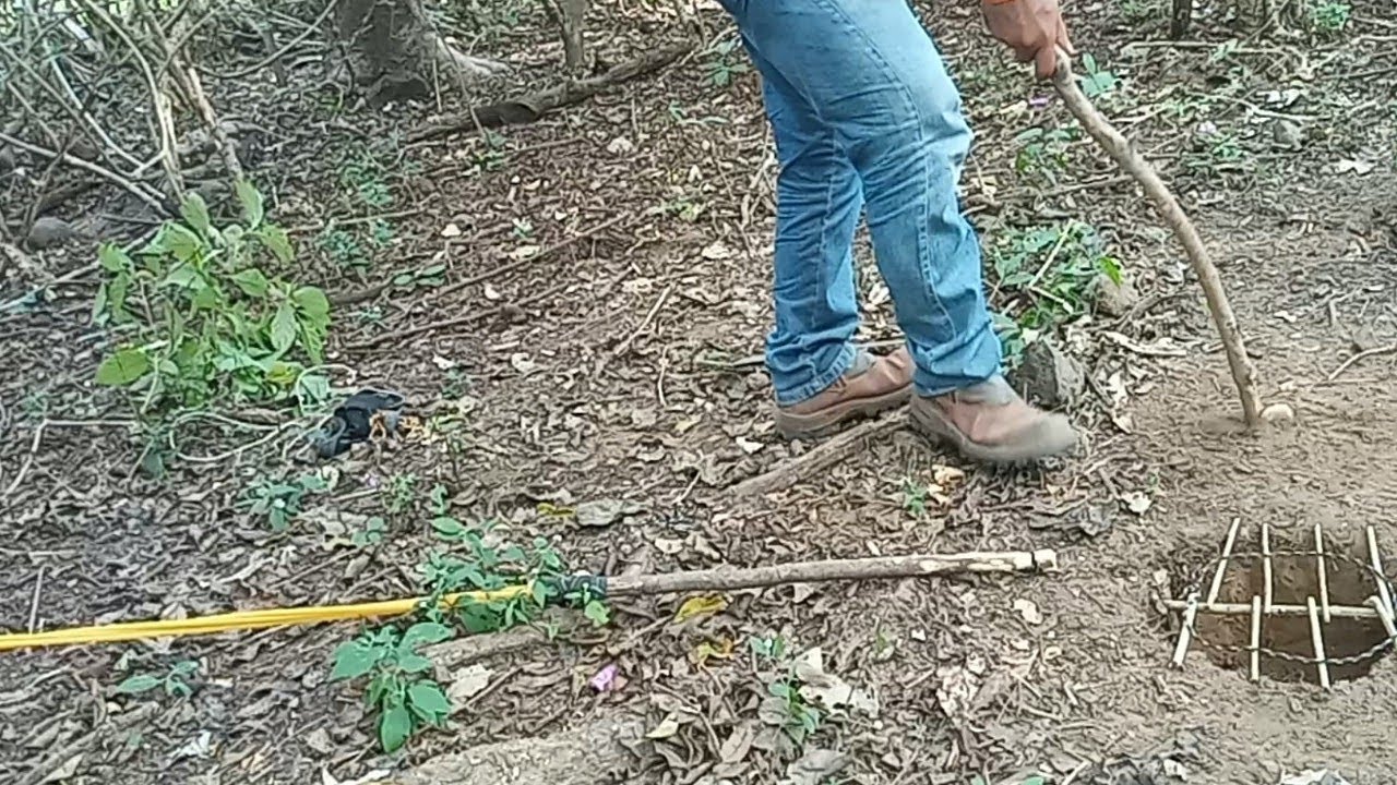 A melhor armadilha de trilha para pegar todo tipo caça.