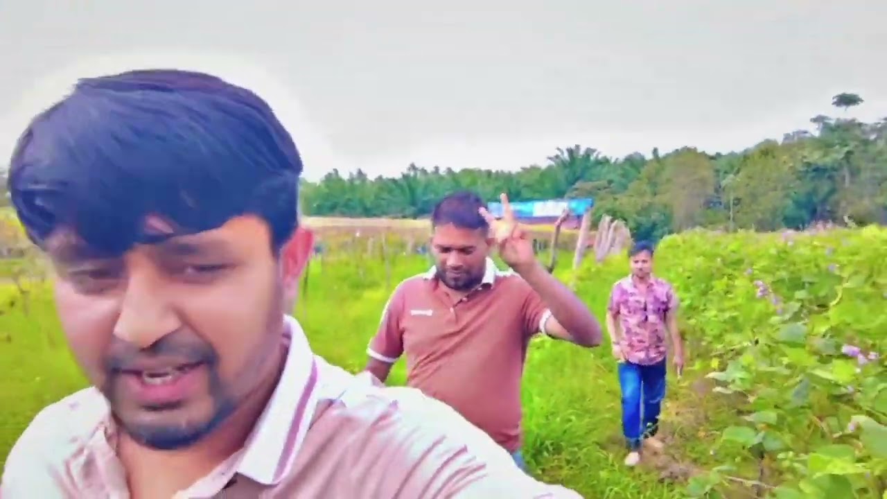 মালয়েশিয়ার বাংলাদেশের ভাইয়েরা চাষাবাদ করে